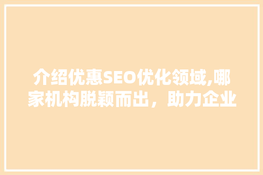 介绍优惠SEO优化领域,哪家机构脱颖而出，助力企业腾飞