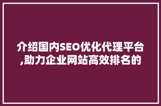 介绍国内SEO优化代理平台,助力企业网站高效排名的秘密武器