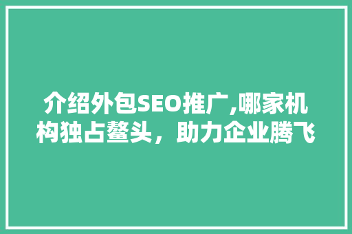 介绍外包SEO推广,哪家机构独占鳌头，助力企业腾飞