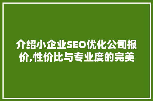 介绍小企业SEO优化公司报价,性价比与专业度的完美平衡