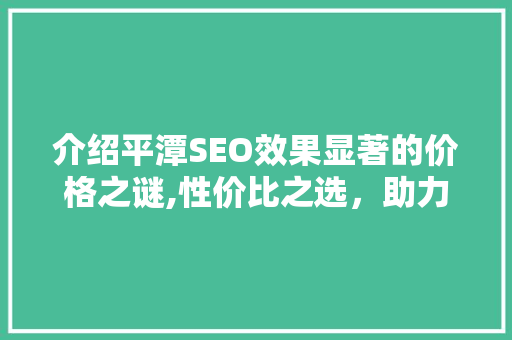 介绍平潭SEO效果显著的价格之谜,性价比之选，助力企业腾飞