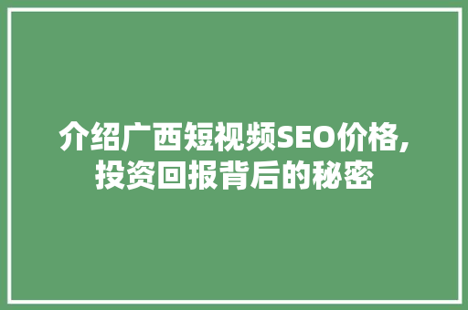介绍广西短视频SEO价格,投资回报背后的秘密