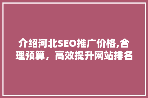 介绍河北SEO推广价格,合理预算，高效提升网站排名