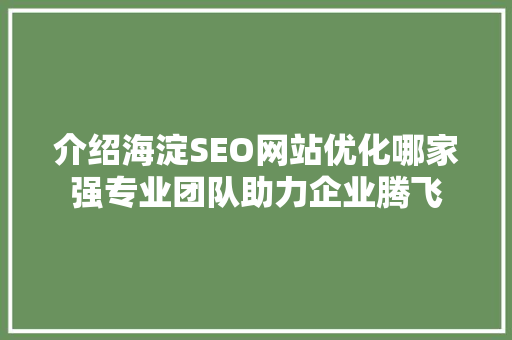 介绍海淀SEO网站优化哪家强专业团队助力企业腾飞