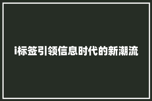 i标签引领信息时代的新潮流