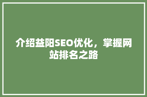介绍益阳SEO优化，掌握网站排名之路