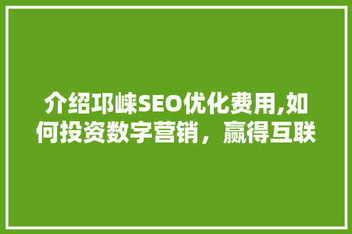 介绍邛崃SEO优化费用,如何投资数字营销，赢得互联网先机