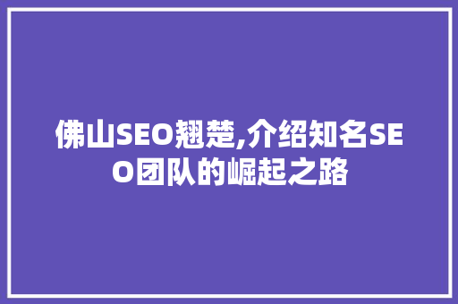 佛山SEO翘楚,介绍知名SEO团队的崛起之路