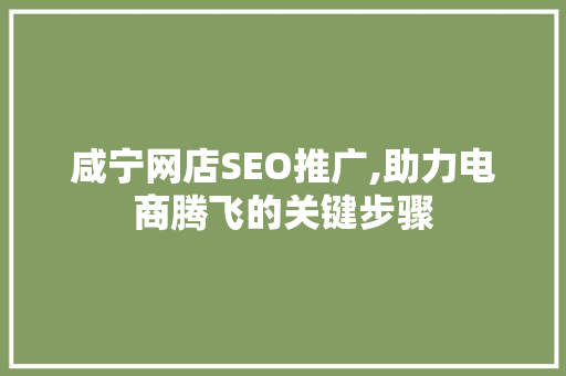 咸宁网店SEO推广,助力电商腾飞的关键步骤