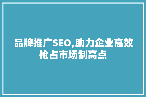品牌推广SEO,助力企业高效抢占市场制高点