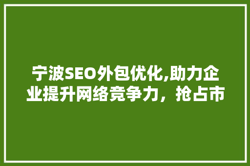 宁波SEO外包优化,助力企业提升网络竞争力，抢占市场先机