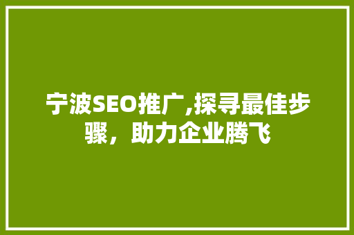 宁波SEO推广,探寻最佳步骤，助力企业腾飞