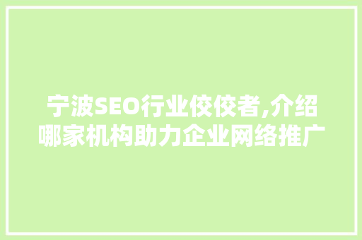 宁波SEO行业佼佼者,介绍哪家机构助力企业网络推广一马当先