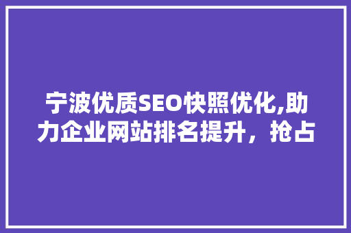 宁波优质SEO快照优化,助力企业网站排名提升，抢占市场先机