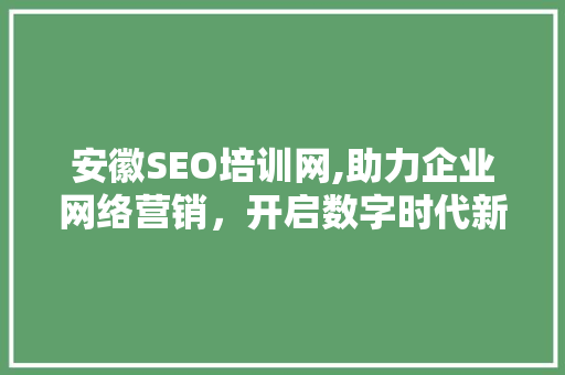 安徽SEO培训网,助力企业网络营销，开启数字时代新篇章