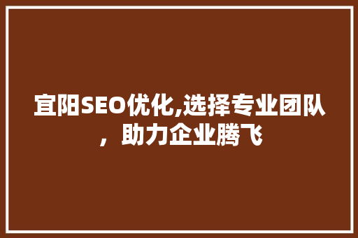 宜阳SEO优化,选择专业团队，助力企业腾飞