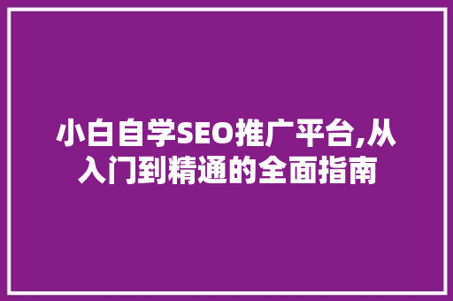 小白自学SEO推广平台,从入门到精通的全面指南