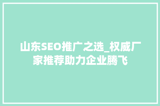 山东SEO推广之选_权威厂家推荐助力企业腾飞