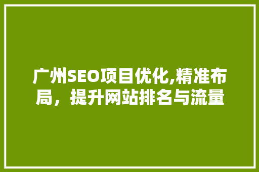 广州SEO项目优化,精准布局，提升网站排名与流量