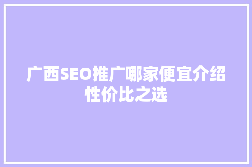 广西SEO推广哪家便宜介绍性价比之选