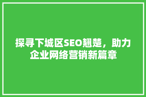 探寻下城区SEO翘楚，助力企业网络营销新篇章
