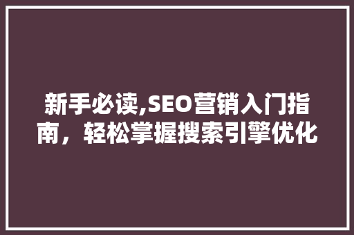 新手必读,SEO营销入门指南，轻松掌握搜索引擎优化方法
