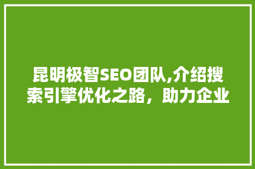 昆明极智SEO团队,介绍搜索引擎优化之路，助力企业腾飞