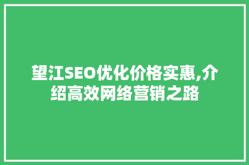 望江SEO优化价格实惠,介绍高效网络营销之路
