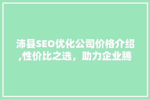 沛县SEO优化公司价格介绍,性价比之选，助力企业腾飞