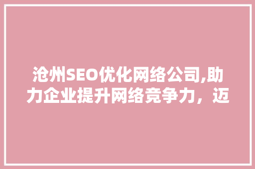 沧州SEO优化网络公司,助力企业提升网络竞争力，迈向辉煌未来