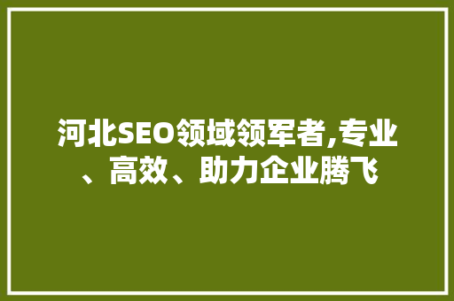 河北SEO领域领军者,专业、高效、助力企业腾飞