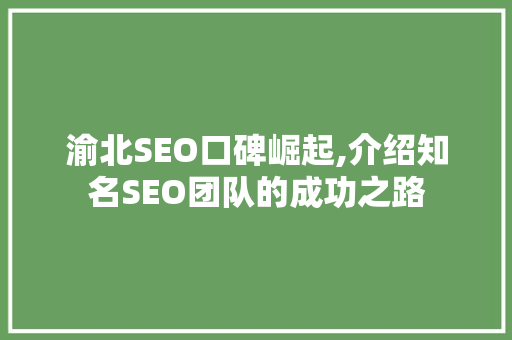 渝北SEO口碑崛起,介绍知名SEO团队的成功之路
