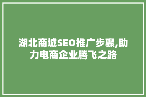 湖北商城SEO推广步骤,助力电商企业腾飞之路