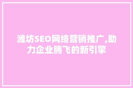 潍坊SEO网络营销推广,助力企业腾飞的新引擎
