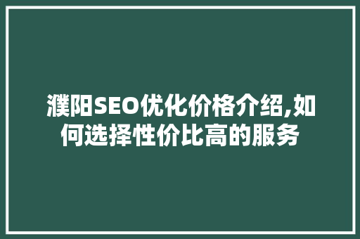 濮阳SEO优化价格介绍,如何选择性价比高的服务