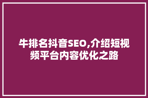 牛排名抖音SEO,介绍短视频平台内容优化之路