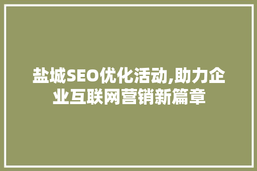 盐城SEO优化活动,助力企业互联网营销新篇章