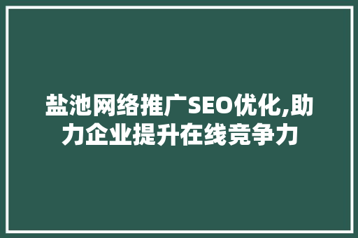 盐池网络推广SEO优化,助力企业提升在线竞争力