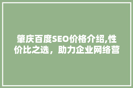 肇庆百度SEO价格介绍,性价比之选，助力企业网络营销腾飞
