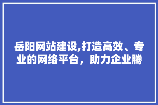 岳阳网站建设,打造高效、专业的网络平台，助力企业腾飞