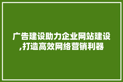 广告建设助力企业网站建设,打造高效网络营销利器