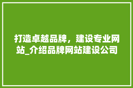 打造卓越品牌，建设专业网站_介绍品牌网站建设公司之路