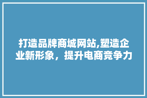 打造品牌商城网站,塑造企业新形象，提升电商竞争力