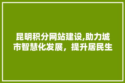 昆明积分网站建设,助力城市智慧化发展，提升居民生活品质  第1张