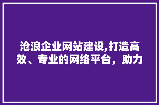 沧浪企业网站建设,打造高效、专业的网络平台，助力企业腾飞