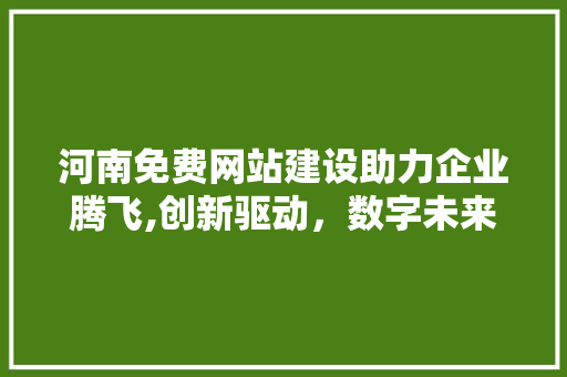 河南免费网站建设助力企业腾飞,创新驱动，数字未来