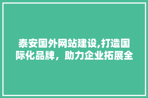 泰安国外网站建设,打造国际化品牌，助力企业拓展全球市场