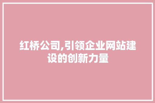 红桥公司,引领企业网站建设的创新力量