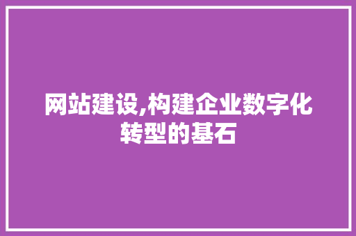 网站建设,构建企业数字化转型的基石