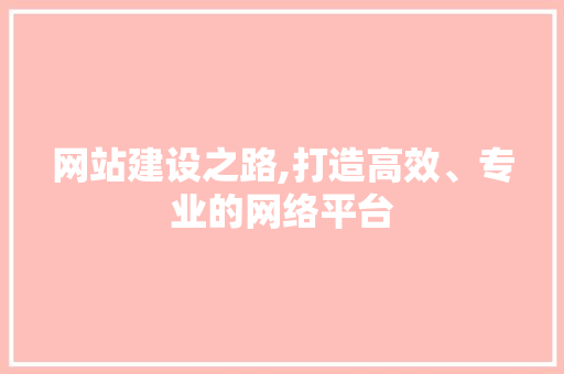 网站建设之路,打造高效、专业的网络平台
